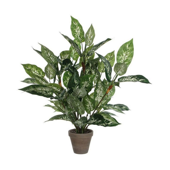 Декоративное растение Dieffenbachia Dieffenbachia Зеленый PVC (15,7 x 70 cm)
