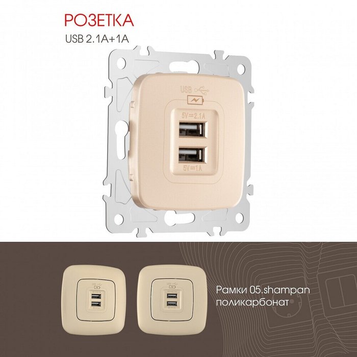 Розетка USB, без рамки 205.46-1.shampan - лучшие Розетки в INMYROOM