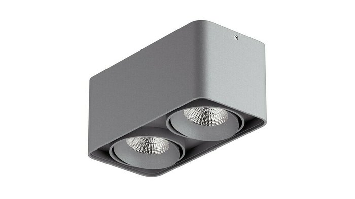 Потолочный светильник  Monocco серого цвета