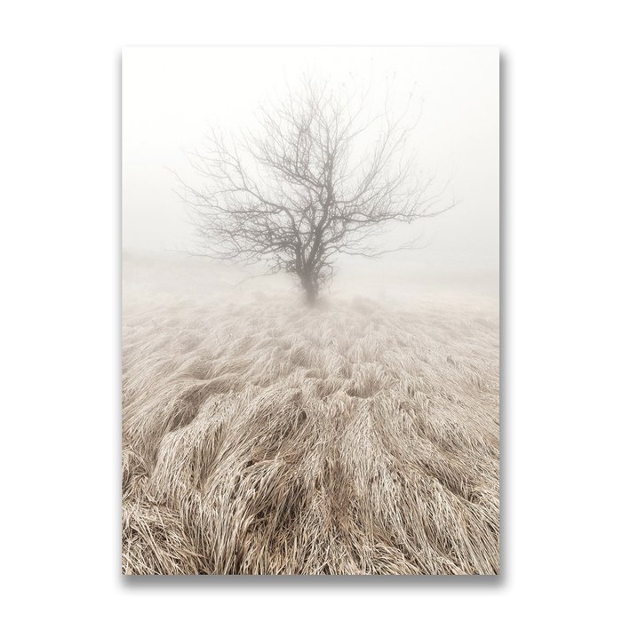Картина на холсте Дерево в тумане 50х70 см