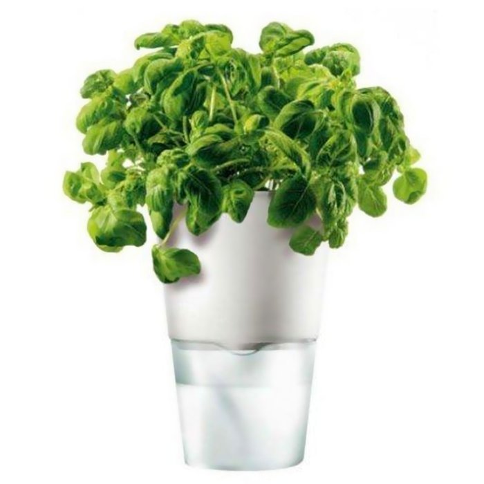 Горшок для растений с естественным поливом Eva Solo herb pot  белый