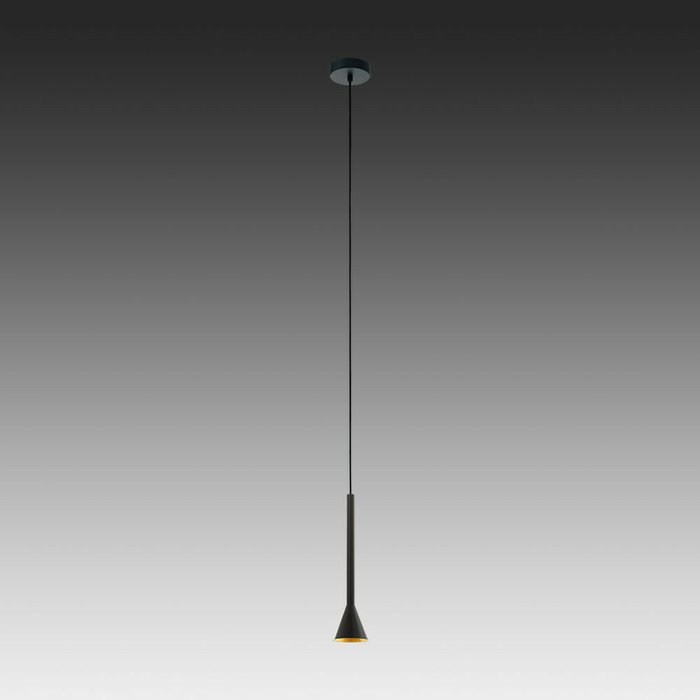 Подвесной светильник Cortaderas черного цвета