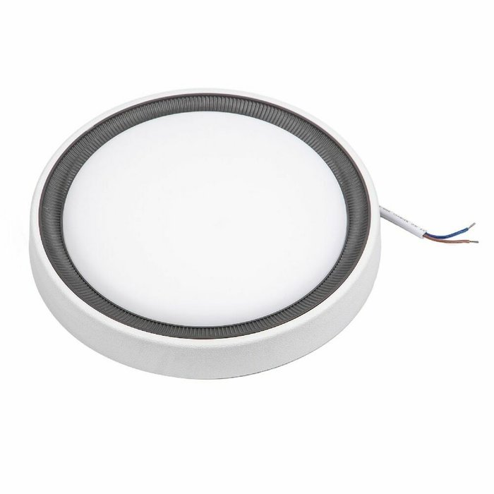 Накладной светильник ULW-Q281 24W/6500K/F20 IP65 WHITE (пластик, цвет белый) - лучшие Потолочные светильники в INMYROOM Накладной светильник ULW-Q281 24W/6500K/F20 IP65 WHITE (пластик, цвет белый) - лучшие Потолочные светильники в INMYROOM