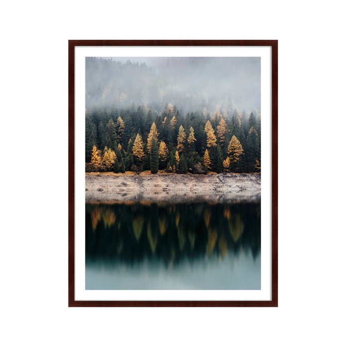 Картина Mysterious forest - купить Картины по цене 16999.0