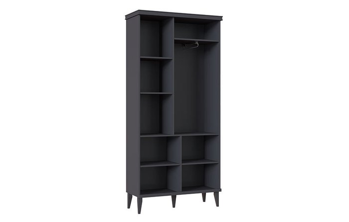 Шкаф для одежды Орландо темно-серого цвета - лучшие Шкафы распашные в INMYROOM
