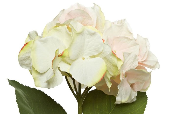 Искусственный цветок Гортензия светло-розового цвета - купить Декоративные цветы по цене 300.0