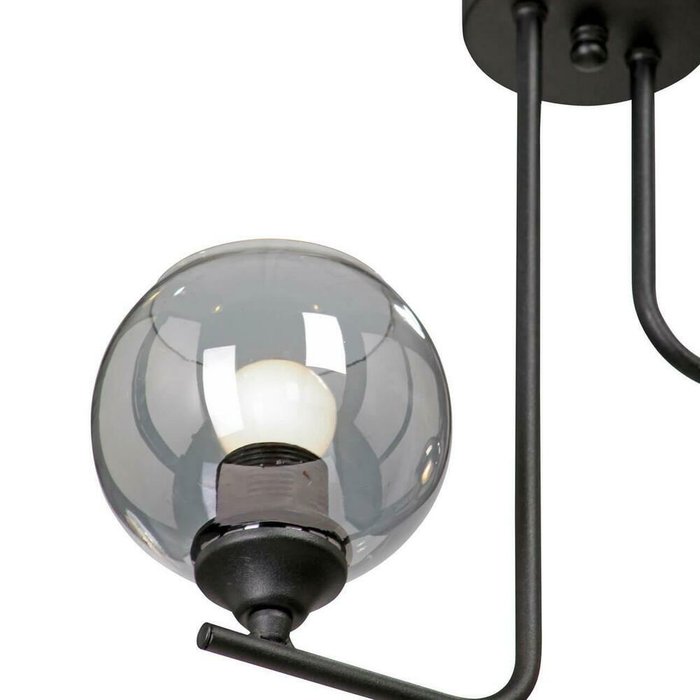 Потолочный светильник черно-серого цвета - купить Потолочные светильники по цене 3775.0