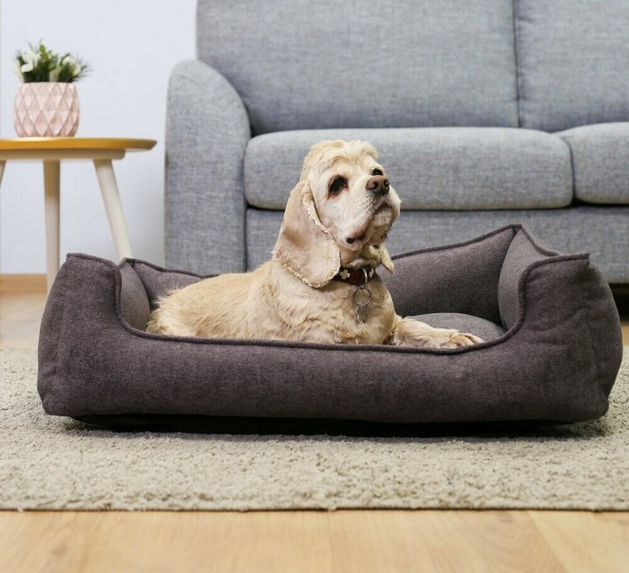 Лежанка прямоугольная для животных 45х55 фиолетового цвета - лучшие Мебель для домашних питомцев в INMYROOM