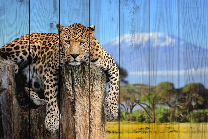 Картина на дереве Леопард в прериях