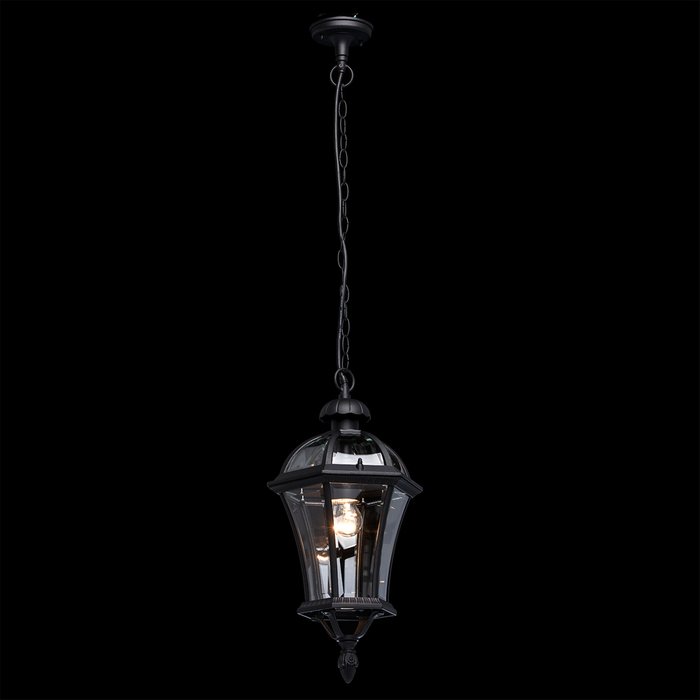 Уличный подвесной светильник Сандра черного цвета - купить Подвесные уличные светильники по цене 9460.0