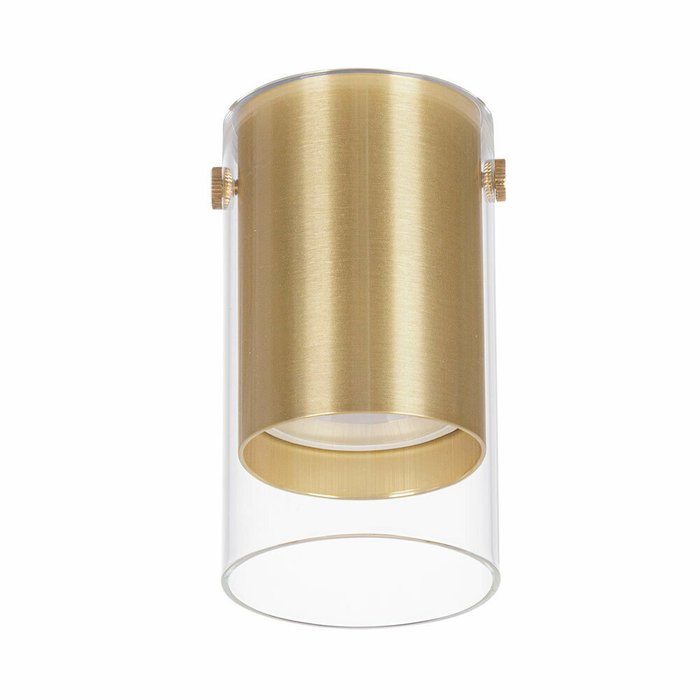 Точечный накладной светильник Arte Lamp LAZIO A5365PL-1SG - купить Накладные споты по цене 800.0 Точечный накладной светильник Arte Lamp LAZIO A5365PL-1SG - купить Накладные споты по цене 800.0