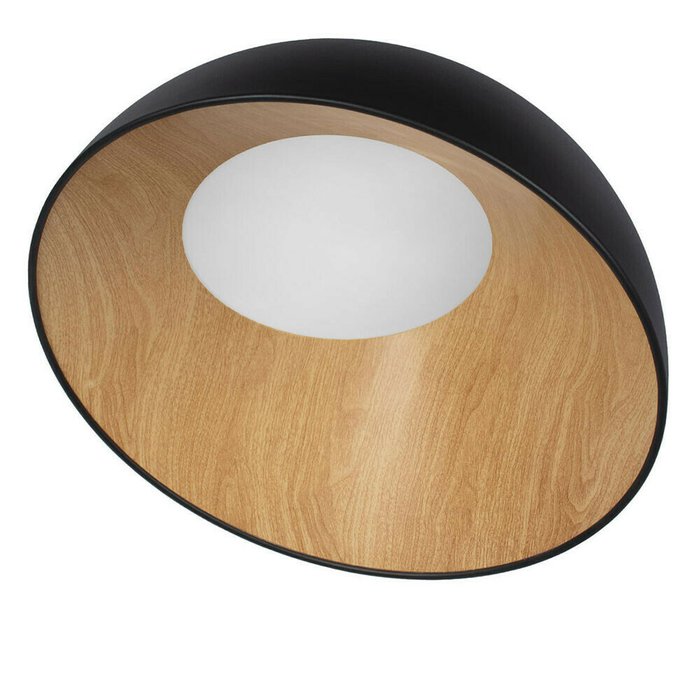 Потолочный светодиодный светильник Loft IT Egg 10197/500 Black - купить Потолочные светильники по цене 17640.0