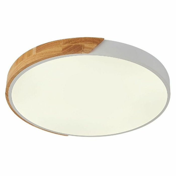 Потолочный светильник Scandinavian LED LAMPS 81182 (пластик, цвет белый)