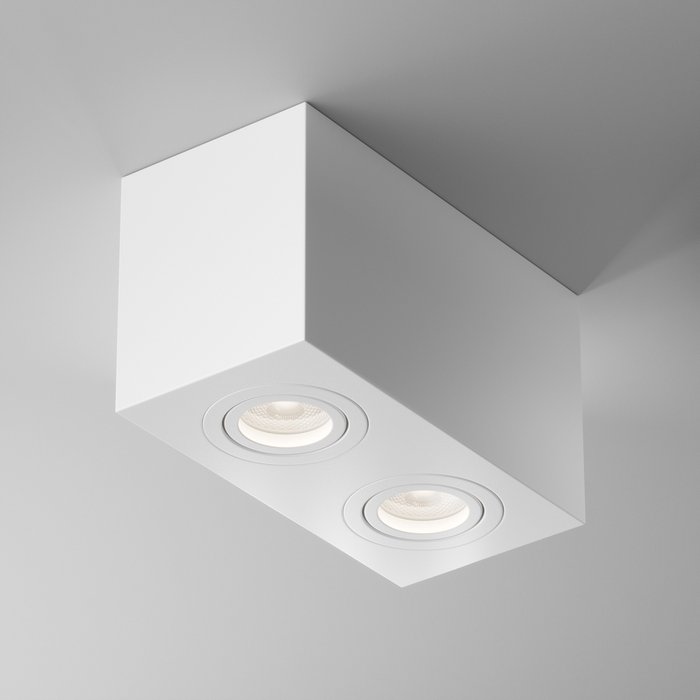 Потолочный светильник Technical C017CL-02W - лучшие Потолочные светильники в INMYROOM