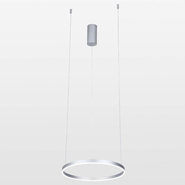 Подвесной светодиодный светильник Тор серебряного цвета - купить Подвесные светильники по цене 9600.0