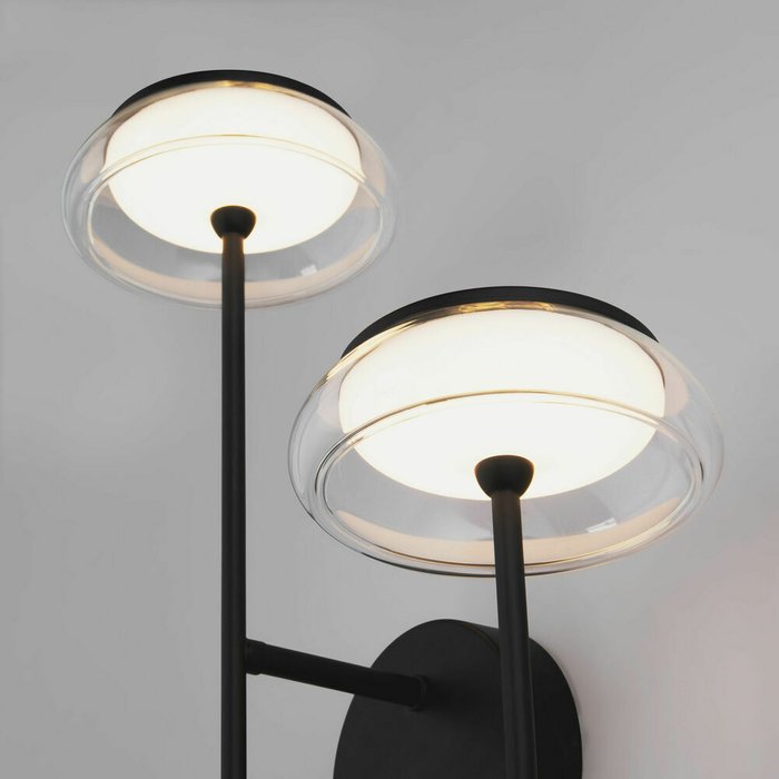 Настенный светильник со стеклянным плафоном 50388/2 LED черный Fungo - купить Бра и настенные светильники по цене 18900.0