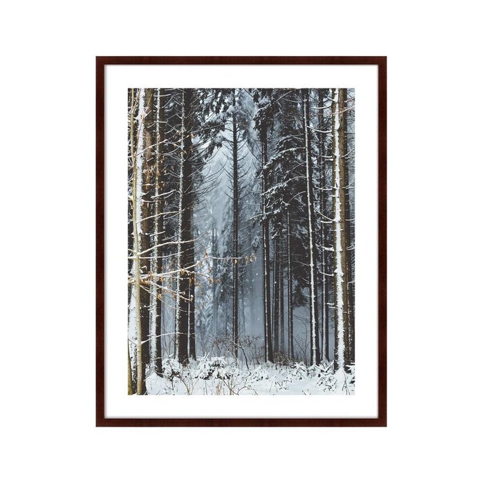 Картина Forest upper Austria - купить Картины по цене 16999.0