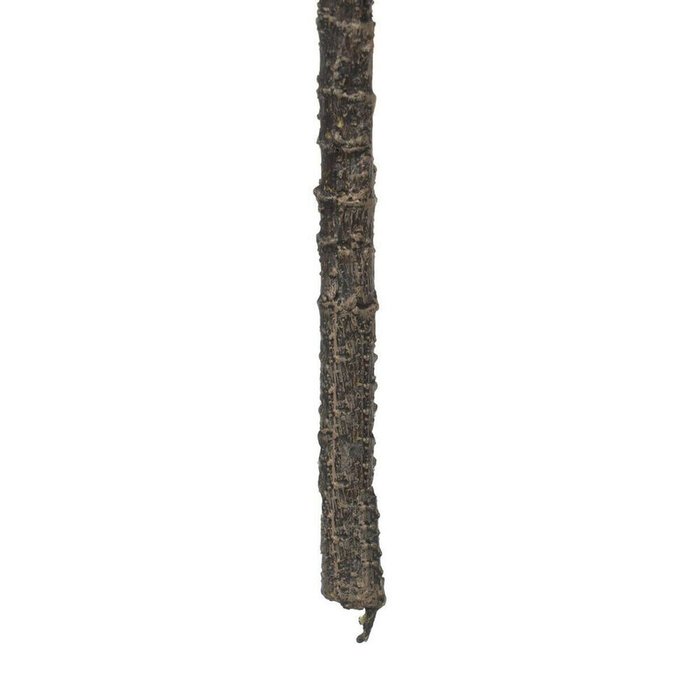 Декоративное растение PEVA 29 x 29 x 66 cm - купить Декоративные цветы по цене 2388.0