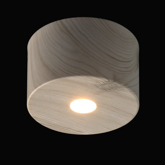 Потолочный светодиодный светильник Иланг цвета светлого дерева - купить Потолочные светильники по цене 3110.0