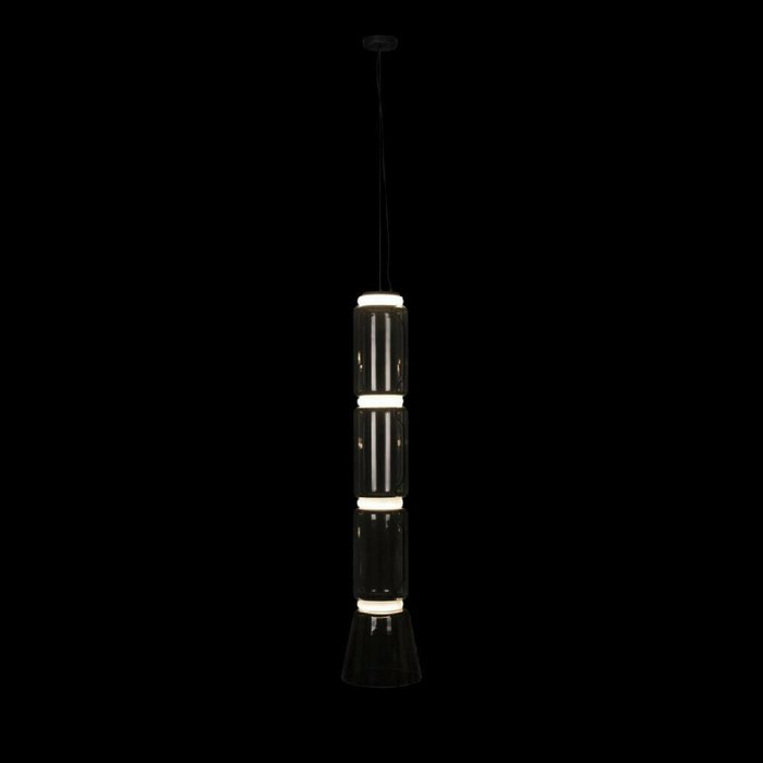 Подвесной светодиодный светильник Loft IT Noctambule 10193/L - лучшие Подвесные светильники в INMYROOM