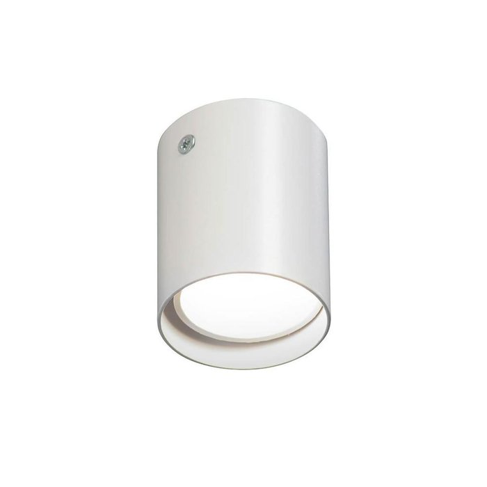 Накладной светильник Korezon белого цвета - купить Потолочные светильники по цене 1130.0