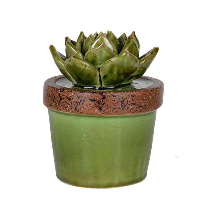 Декор Evergreen Succulent