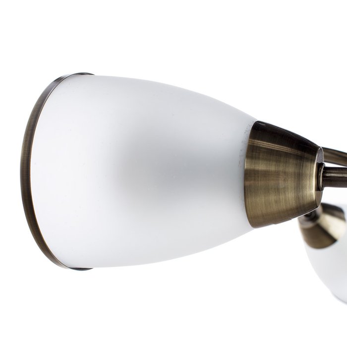 Потолочная люстра  Arte Lamp - лучшие Потолочные люстры в INMYROOM
