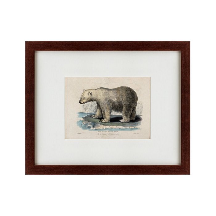 Картина White polar bear on an ice 1830 г. - купить Картины по цене 4990.0