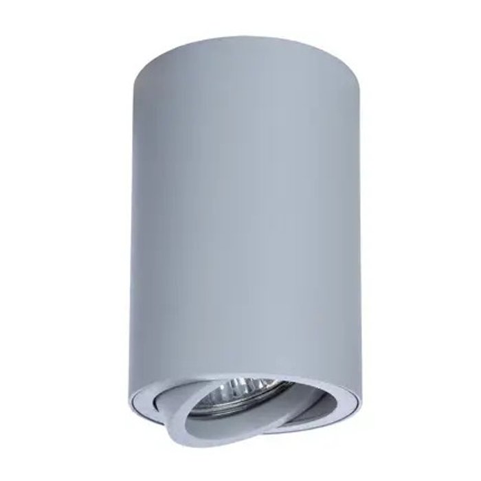 Точечный накладной светильник Arte Lamp SENTRY A1560PL-1GY - лучшие Накладные споты в INMYROOM