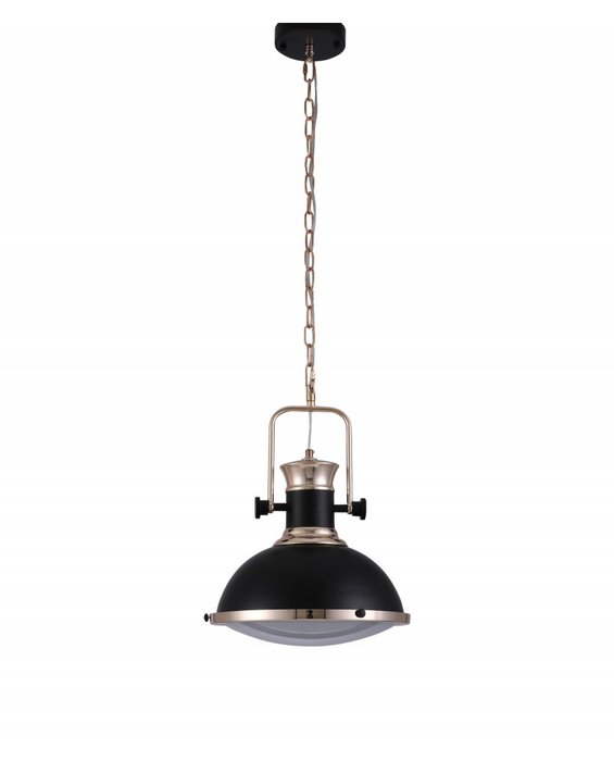 Подвесной светильник Batore черного цвета - лучшие Подвесные светильники в INMYROOM