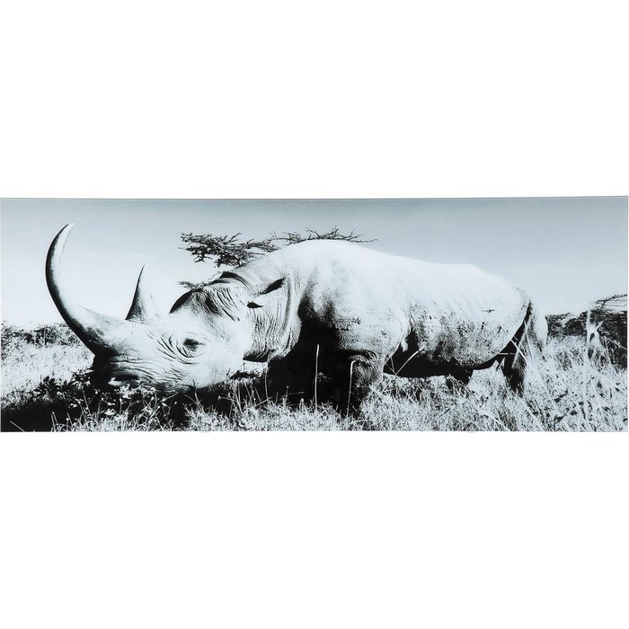 Принт Rhino 60х160 серого цвета
