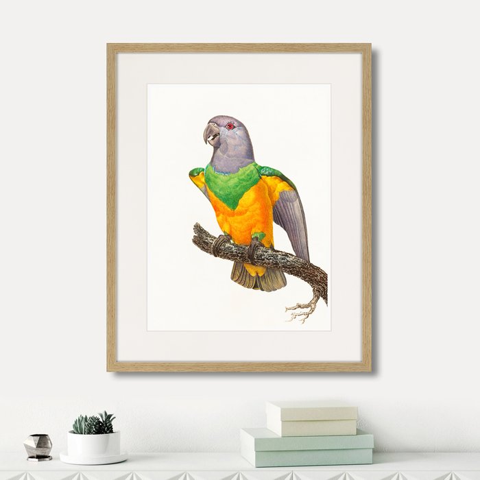 Набор из двух картин Beautiful parrots №3  - лучшие Картины в INMYROOM