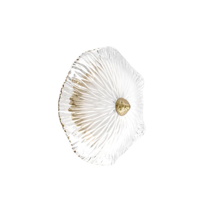 Настенный светильник Bloom 10352W/A AB (стекло, цвет прозрачный) Настенный светильник Bloom 10352W/A AB (стекло, цвет прозрачный)