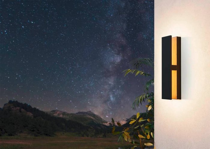 Уличный настеннный светильник Eglo Costorio 900291 - купить Настенные уличные светильники по цене 11990