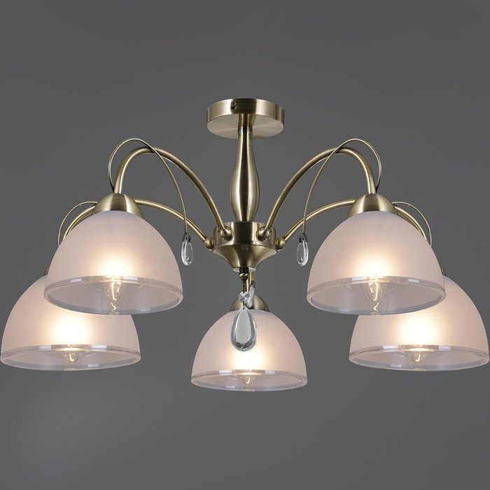 IL0506-5CSQ-25AB ELITE светильник потолочный