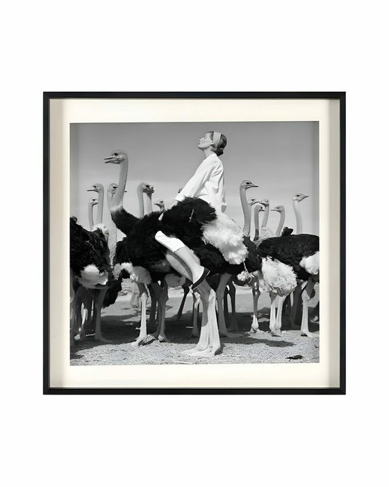 Постер Wenda Ostriches 90х90 серого цвета