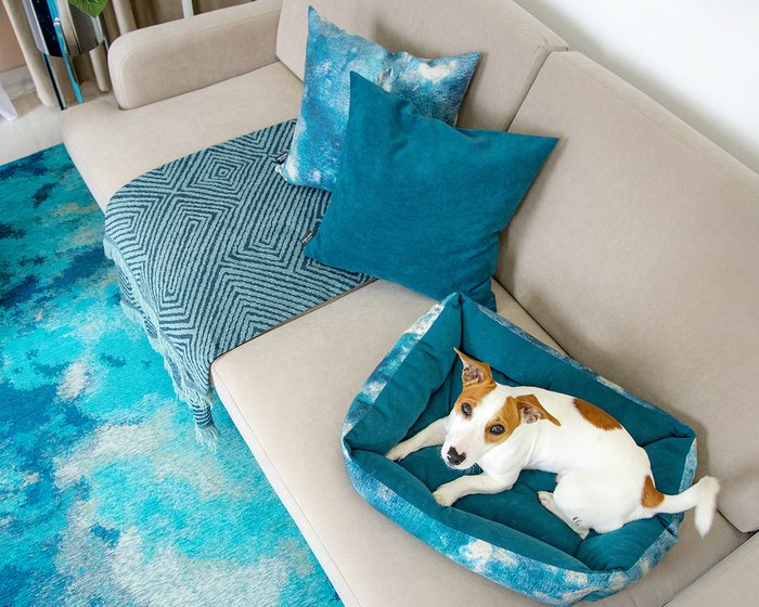 Лежанка Joy delphi бирюзово-голубого цвета  - купить Мебель для домашних питомцев по цене 2060.0
