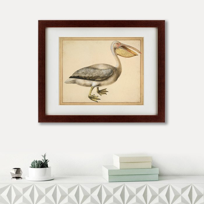 Картина A European Pelican 1635 г.