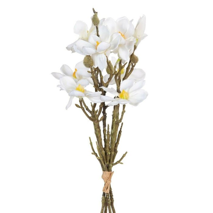 Букет Белый Зеленый 37 x 20 x 41 cm Magnolia