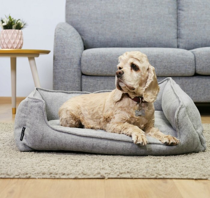 Лежанка прямоугольная для животных серого цвета - лучшие Мебель для домашних питомцев в INMYROOM