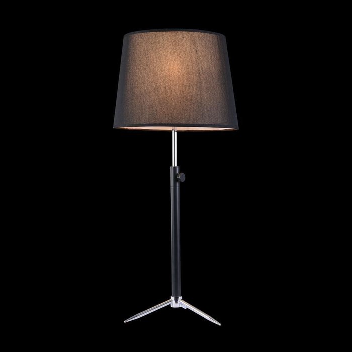 Настольная лампа Maytoni Monic  - купить Настольные лампы по цене 4990.0