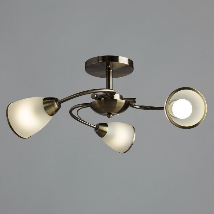 Потолочная люстра  Arte Lamp - купить Потолочные люстры по цене 4890.0