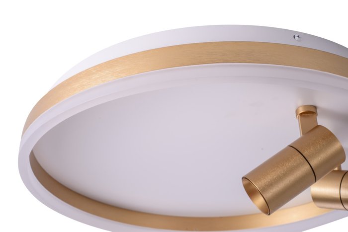 Светильник ZORTES RAIZY ZRS.1888.02 Мощность-40Вт Тип лампы: Встроенный  Встроенный LED - лучшие Потолочные светильники в INMYROOM