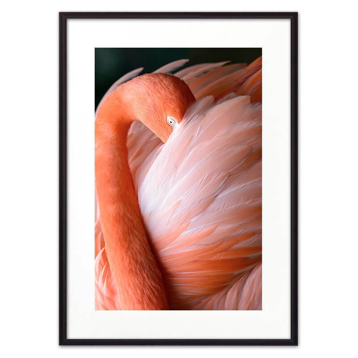 Постер в рамке Фламинго 2 21х30 см