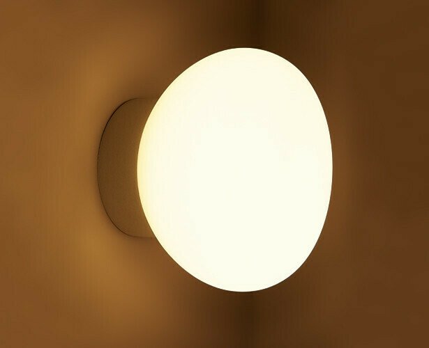 Настенно-потолочный светильник DL 3030 white (стекло, цвет белый) - лучшие Потолочные светильники в INMYROOM