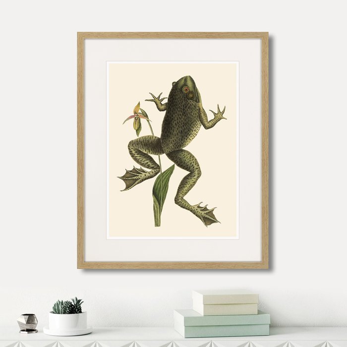 Копия старинной литографии Big jumping frog 1745 г.