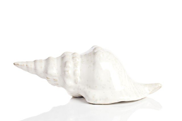 Предмет декора Marine Shells White III  - лучшие Фигуры и статуэтки в INMYROOM