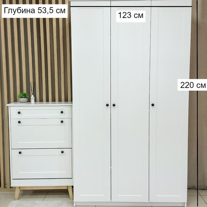 Распашной шкаф Адель белого цвета - лучшие Шкафы распашные в INMYROOM