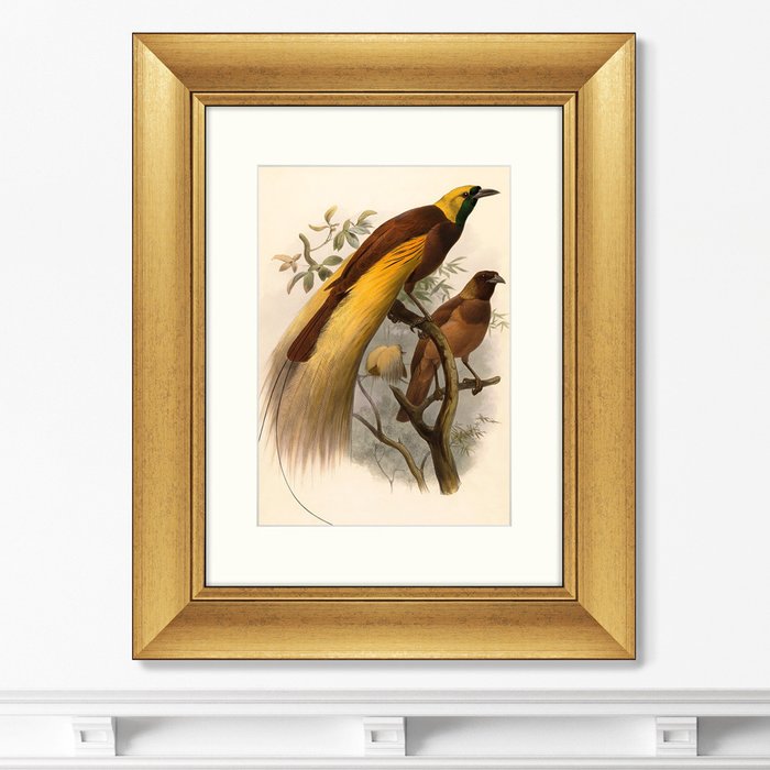 Картина Большая райская птица 1880 г. 
