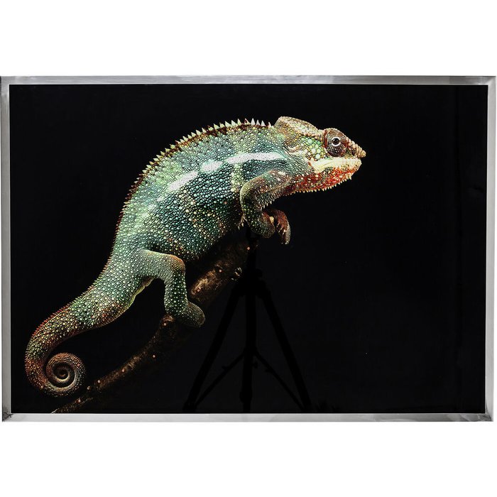 Украшение настенное Chameleon в рамке из нержавеющей стали Украшение настенное Chameleon в рамке из нержавеющей стали